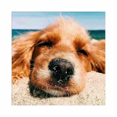 Imagem de Artesanato Pintura Diamante Diy 30X30 - CACHORRO - PPSHOP