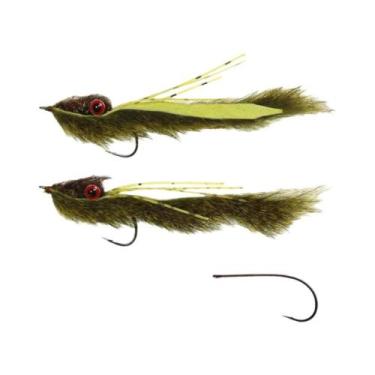 Imagem de Iscas De Pesca Para Truta E Robalo, 2 Peças, Streamer, Fly, Bottom Sea