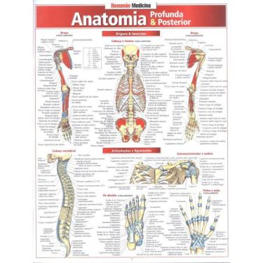 Imagem de Anatomia Profunda  Posterior