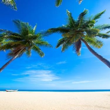 Imagem de Quadro Decorativo Tropical Estampa Praia Paisagem Sri Lanka Verão Arte de Parede 50x50cm