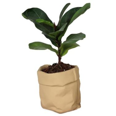 Imagem de Runziti Vaso de flores de cimento criativo com design de serapilheira falsa – Vaso decorativo estilo saco de papel para suculentas, plantas internas e externas, vaso de cerâmica para decoração de casa