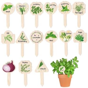 Imagem de 15 etiquetas de plantas de ervas – marcadores de jardim de madeira à prova d'água com ilustrações claras para vasos de ervas de quintal/varanda/cozinha (manjericão, lavanda, alecrim)