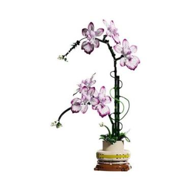 Imagem de Orquídea Cymbidium Phalaenopsis Flores Eternas Em Vaso Blocos De Monta