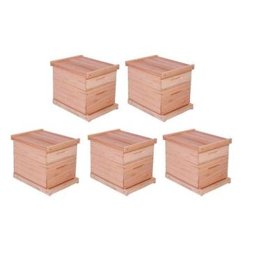 Imagem de Caixa Abelha Padrão Langstroth Eucalipto KIT 5 UNIDADES - Beethoven Ag