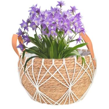 Imagem de Plantador de cesta para plantas de interior, vasos de flores decorativos - Cesta de plantas de interior para plantador de rattan multiuso - Cesta reutilizável do plantador do potenciômetro da planta d