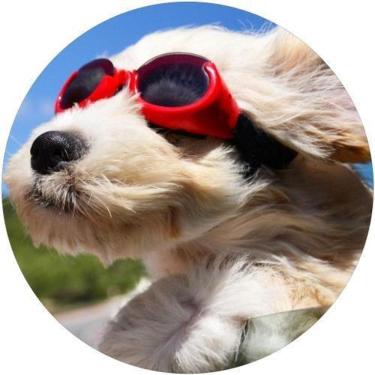 Imagem de Capa De Estepe Ecosport Aircross Dog Passeio