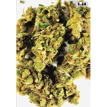 Imagem de Enigma's - 4.20-500 Piece Jigsaw Puzzle for Adults