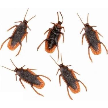 Imagem de 05 Baratas Brinquedo Borracha Pegadinha Assustar Amigos - Ark Toys