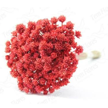 Imagem de Planta Seca Botão Espeta Nariz Desidratado Vermelho - Pense Flores