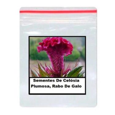 Imagem de Sementes De Celósia Plumosa, Rabo De Galo 100 unidades - TOPSEED