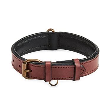 Imagem de Coleira de cachorro de couro real acolchoada interior macio com visual vintage premium feito à mão com anel de etiqueta para animais de estimação pequenos médios e grandes (médio (3,18 cm de largura para 34,32 cm - 44,5 cm de pescoço), sangue ox)