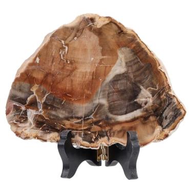 Imagem de TUMBEELLUWA Irregular Petrified Wood Slab Fossil Collection for Desk Table Decor, Natural Crystal Mineral Specimen with Wooden Display Stand