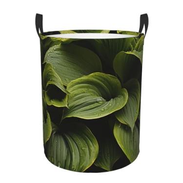 Imagem de Cesta de lavanderia úmida com folhas Hosta, dobrável, impermeável, cesto de armazenamento de roupas com alças, pano Oxford, organizador de brinquedos, cesta para banheiro, lavanderia, quarto, médio