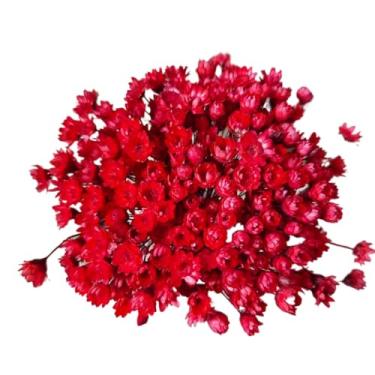 Imagem de Buque de Flores Artificiais Sempre Viva - Kit com 1.600 Flores, Tipo 1 Extra, Arranjo Decorativo para Presentes e Decoração(Vermelho,4 buquês (800 florzinhas))