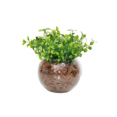 Imagem de Arranjo Planta Flor Eucalipto Verde Artificial Com Vaso