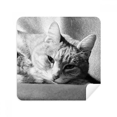 Imagem de Animal Puro Cinza Gato Fotografia Óculos Pano Limpador de Tela Tecido Camurça Pacote com 2