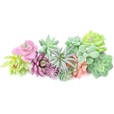 Imagem de WOHSEROM Pacote com 12 suculentas artificiais realistas, mini plantas falsas de plástico falso para artesanato de jardim, bolo, festa, decoração interna/externa (sem vaso, PVC, detalhes realistas)
