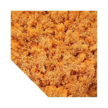 Imagem de Mini Plantas Verdes Artificiais, Grama Falsa E Musgo Para Decoração De