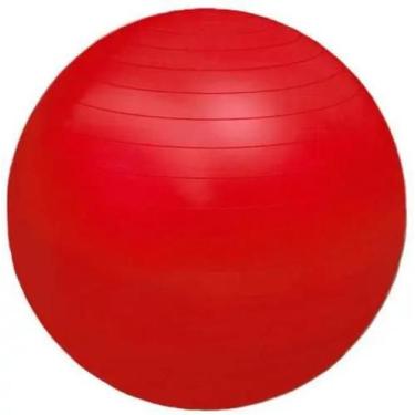 Imagem de Bola Fisioball Ortho Pauher 55cm