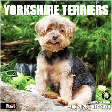 Imagem de RED EMBER Calendário de parede Yorkies Yorkshire Terriers 2026 12 meses | Abertura de 30,5 cm x 61 cm | Papel grosso e resistente | Presente | Calendário 2026