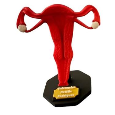Imagem de Útero 3D Anatomia Estudo Ovário Trompas de Falópio Medicina Ensino