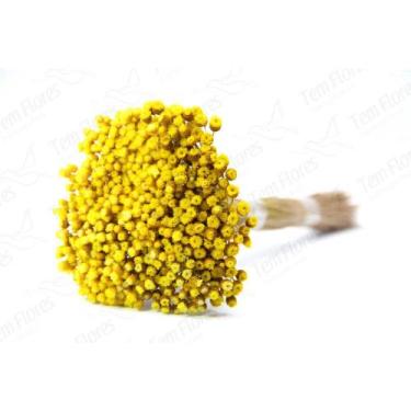 Imagem de Buque de Jazida Desidratado - Pense Flores, Amarelo