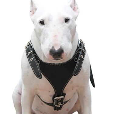 Imagem de Arreio de couro genuíno preto, médio. 63,5 cm - 76,2 cm Peito, 2,5 cm de largura Alças ajustáveis