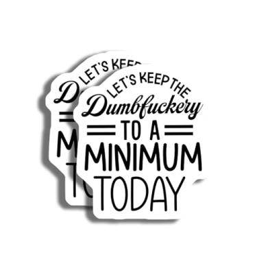 Imagem de Adesivo Let's Keep The Dumbfuckery to A Minimum - Adesivo engraçado atrevido moderno selvagem espirituoso - Adesivo de superfície plana para carro, caminhão, para-choque, laptop, 12 cm, pacote com 2 -