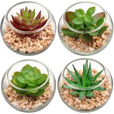 Imagem de Briful Mini plantas falsas pacotes com 4 suculentas fofas plantas artificiais em vaso de vidro redondo para banheiro, sala de estar, cozinha, prateleira, decoração de mesa