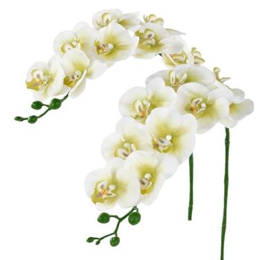 Imagem de Sherika Fnize hastes artificiais de orquídea de toque real Phalaenopsis pétalas de látex 96 cm (9, verde e branco)