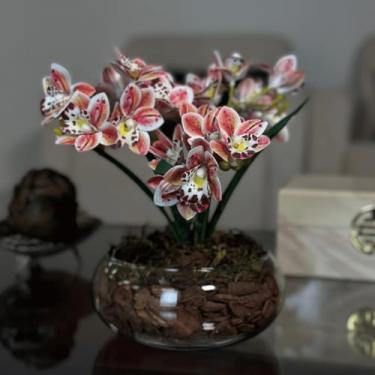 Imagem de Arranjo de Orquídea Artificial em Vaso de Vidro Decorativo para Sala, Lavabo e Escritório(Cymbidium Pintadinha)