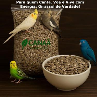 Imagem de Girassol Miúdo 5Kg Alimentação Nutrição Proteínas Fibras Vitaminas Ani