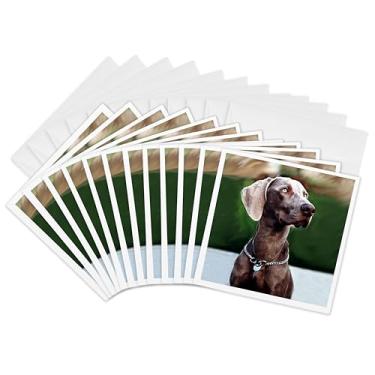 Imagem de 3dRose Weimaraner - Cartões comemorativos, 15 x 15 cm, conjunto de 12 (gc_1095_2)