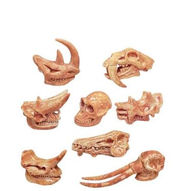 Imagem de Conjunto de estatuetas de crânio de mamífero pré-histórico, 8 peças pa