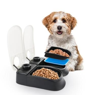 Imagem de PAWISE Alimentador automático para cães e gatos, estação dispensadora de alimentos com temporizador, 48 horas, 1,5 xícara
