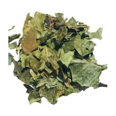 Imagem de Folha de Café 1kg (Erva Desidratada) - Magnata das Ervas