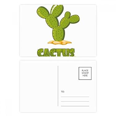 Imagem de Conjunto de cartão postal verde para suculentas de planta cacto, cartão de felicitações para envio de aniversário