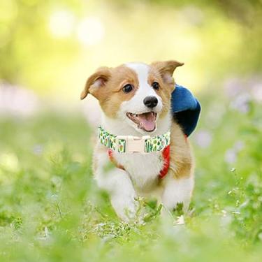 Imagem de Coleira de cachorro verde com estampa de cacto para cães pequenos, primavera, verão, fêmeas ou machos, presente para animais de estimação, ajustável, resistente, fofa, coleiras para animais de