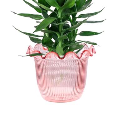 Imagem de Vaso transparente, vaso para plantas aquáticas, recipiente hidropônico para decoração de restaurante, , eventos, casamento, centro de mesa, hotel, lobby