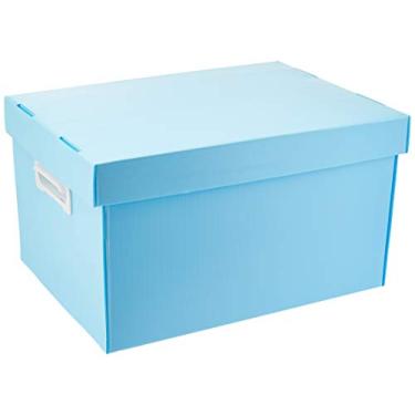 Imagem de Polibras Caixa Organizadora The Best Box G, 437x310x240mm, Azul Pastel