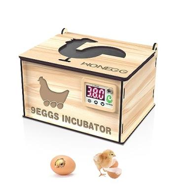 Imagem de CIADAZ Incubadoras para ovos para incubação DIY Incubadora de 9 ovos de madeira com controle de temperatura Incubadoras de ovos de galinha para pato ganso codorna pássaro para escola/casa/fazenda/cria