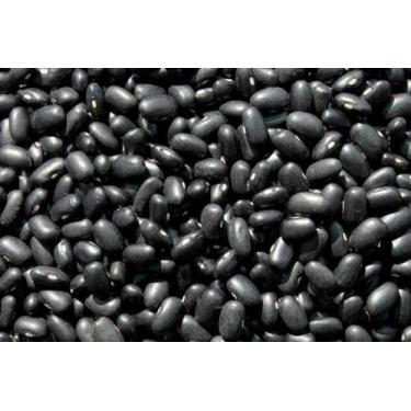 Imagem de Feijão Preto IPR URUTAU - 10kg De Sementes