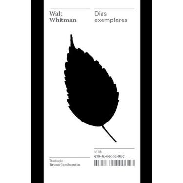 Imagem de Livro - Dias exemplares  Coleção Acervo