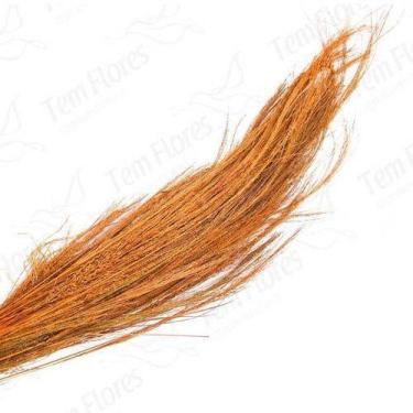 Imagem de Capim Fio De Ouro Desidratado - Laranja - Pense Flores