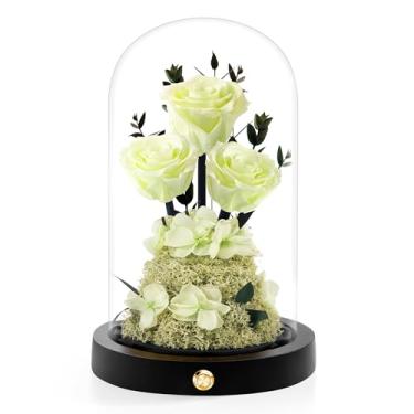 Imagem de Agrul Presentes de rosas de Natal para mãe, rosas preservadas em cúpula de vidro, presentes de aniversário de Natal de Ação de Graças para esposa, namorada, mulheres, melhor amiga, vovó/verde claro