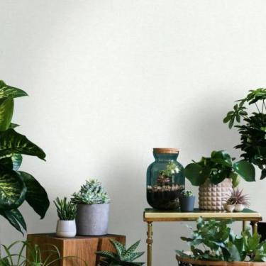 Imagem de Papel de Parede Jackie Aspecto Têxtil Branco 682010 - NOVAMUR