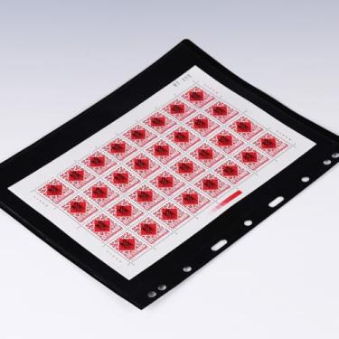 Imagem de MIJLEXIG 10 folhas de álbum de páginas de colecionador de carimbos com mangas padrão de 9 furos para fichário (páginas de carimbos 1 linha)