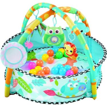 Imagem de Ginásio Bichinhos Piscina Bolinhas Corujinha Kitstar +0M