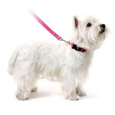 Imagem de Coleira p/ Cachorros - Rosa - Futon dog, UNICA, G