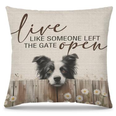 Imagem de PUHEI Capa de almofada Live Like Someone Left The Gate Open Border Collie 45,7 x 45,7 cm Capa de almofada rústica animal cão para quarto sofá quarto casa, presentes de cachorro Border Collie para